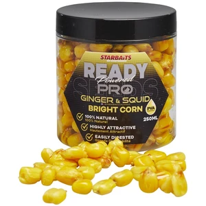 Starbaits kukurica bright ready seeds 250 ml - pro ginger squid