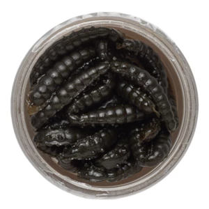 Berkley gumová nástraha powerbait power honey worm 2,5 cm 25 ks black