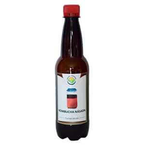 Salvia Paradise Kombucha násada 1 ks