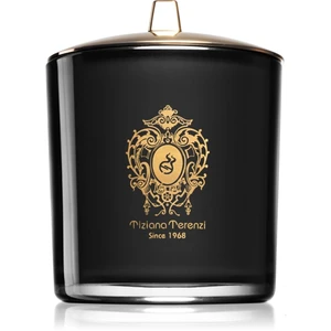 Tiziana Terenzi Black Fire vonná sviečka s dreveným knotom 900 g
