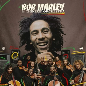 BOB MARLEY WITH THE... - WAILERS MARLEY BOB & THE [Vinyl album]