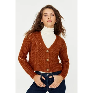 Trendyol Cardigan - Brown - Regular fit