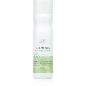 Obnovující šampon pro regeneraci vlasů Wella Elements Renewing - 250 ml (99350097071) + DÁREK ZDARMA