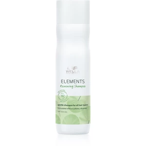 Obnovující šampon pro regeneraci vlasů Wella Elements Renewing - 250 ml (99350097071) + DÁREK ZDARMA