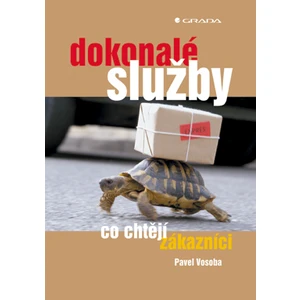 Dokonalé služby, Vosoba Pavel