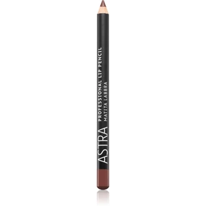 Astra Make-up Professional Lip Pencil konturovací tužka na rty odstín 41 Wood 1,1 g