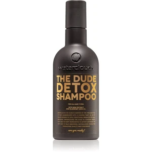 Waterclouds The Dude Detox Shampoo denní detoxikační šampon 250 ml