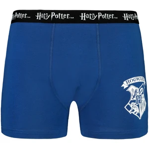 Pánské boxerky HARRY POTTER - Frogies