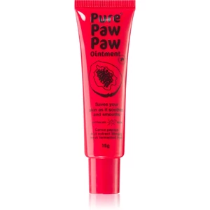 Pure Paw Paw Ointment balzam na pery a suché miesta 15 g
