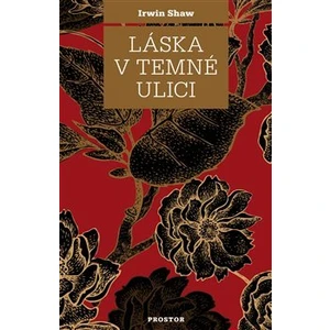 Láska v temné ulici - Irwin Shaw