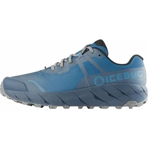 Icebug Arcus Mens RB9X GTX Saphire/Stone 42