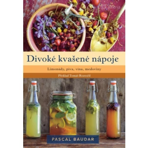 Divoké kvašené nápoje, Baudar Pascal