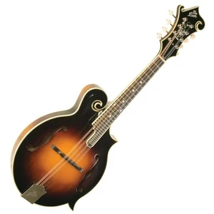 The Loar LM-600