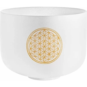Meinl  PCSB10FOL Sonic Energy