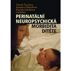 Perinatální neuropsychická morbidita dítěte