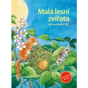 Malá lesní zvířata - Friederun Reichenstetterová