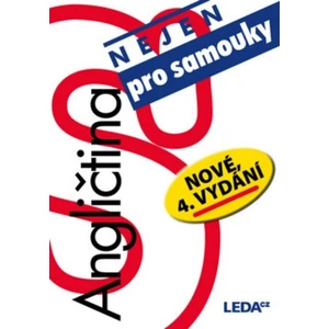 Angličtina nejen pro samouky - Ludmila Kollmannová