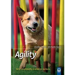 Agility -- Od první překážky k velkému parkuru