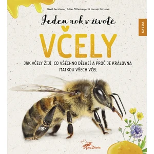 Jeden rok v životě včely - David Gerstmeier, Hannah Götteová, Tobias Miltenberger