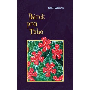 Dárek pro Tebe - Sýkorová Jana J.