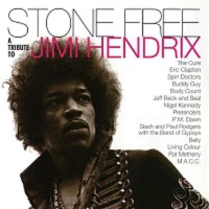 Various Artists.. – Stone Free: A Tribute to Jimi Hendrix