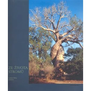 Ze života stromů
