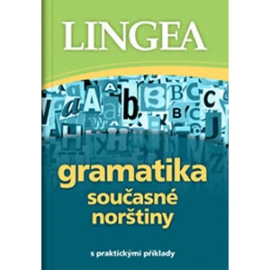Gramatika současné norštiny -- s praktickými příklady