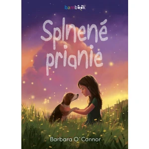 Splnené prianie - Barbara O´Connor
