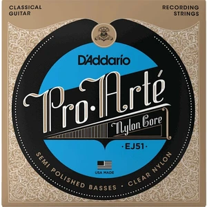 D'Addario EJ51