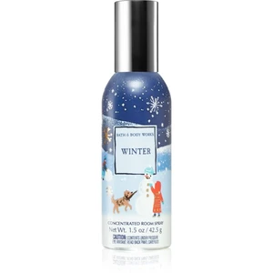 Bath & Body Works Winter bytový sprej 42,5 g