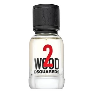Dsquared2 2 wood toaletní voda pro muže 30 ml