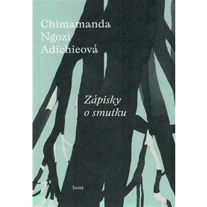 Zápisky o smutku - Chimamanda Ngozi Adichieová