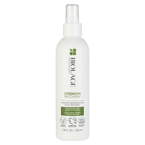 Biolage Strength Recovery posilující bezoplachová péče pro poškozené vlasy 232 ml