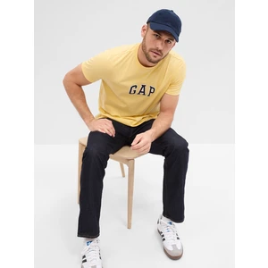 Men's T-shirt GAP