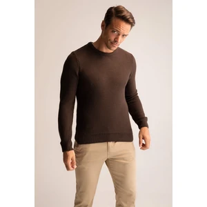 DEFACTO Slim Fit Crew Neck Pullover