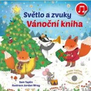 Světlo a zvuky Vánoční kniha - Sam Taplin, Jordan Wray