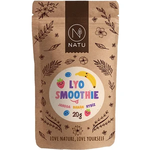 Natu lyo Smoothie Mix 20 g