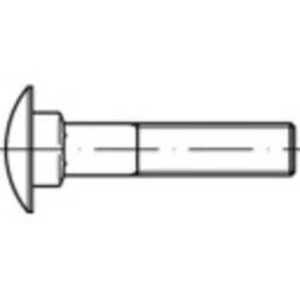 Plochý kulatý šroub TOOLCRAFT 1061534, N/A, M10, 80 mm, nerezová ocel, 1 ks