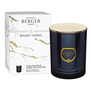 Maison Berger Paris Vonná svíčka Alpha královská modř Pod Olivovníkem Under the Olive Tree (Candle) 240 g