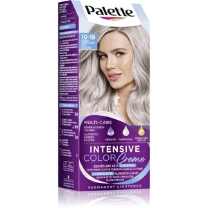 PALETTE ICC Barva na vlasy 10-19 Chladný stříbřitě plavý