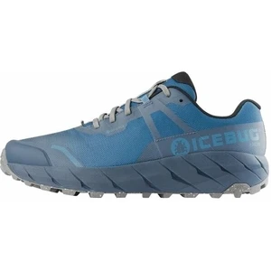 Icebug Arcus Mens RB9X GTX Saphire/Stone 41,5