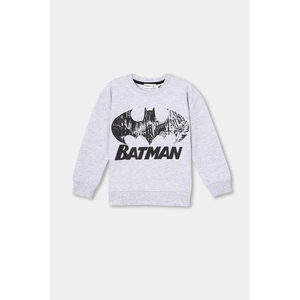 Dagi Sweatshirt - Gray - Regular fit