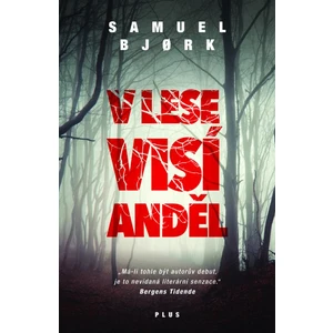 V lese visí anděl - Samuel Bjork