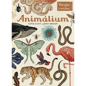 Animálium - Katie Scott, Jenny Broomová