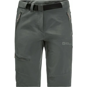 Jack Wolfskin Pantaloni scurti Ziegspitz Shorts W Slate Green S