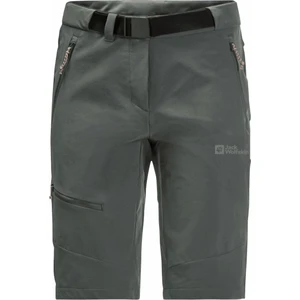 Jack Wolfskin Rövidnadrág Ziegspitz Shorts W Slate Green S