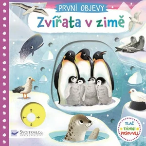 První objevy Zvířata v zimě - Wren Jenny