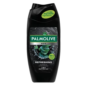Palmolive Men Refreshing sprchový gel pro muže 2 v 1 pro muže 250 ml