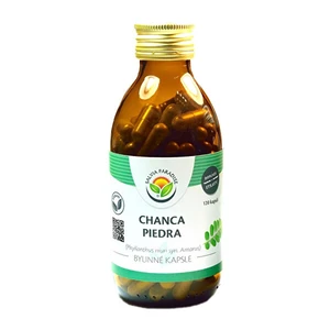 Salvia Paradise Chanca piedra kapsle 120 ks