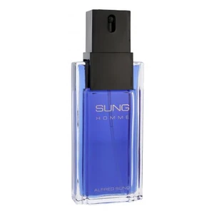 Alfred Sung Sung for Men toaletní voda pro muže 100 ml